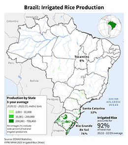 images\BR\seasonalmap\Brazil_Irrigated_Rice_preview.png